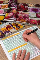 Remplir le bon de commande manuscrit pour les fleurs de vente par correspondance à partir d'un catalogue imprimé