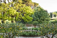 En regardant à travers les agrumes - citron - arbres en pots à un jardin parterre et arbres