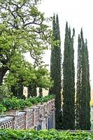 Vue à la fin de la terrasse sur un mur avec une rangée de plantes en pot et au-delà de Cupressus sempervirens - Cyprès - arbres
