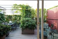 Vue du jardin sur le toit depuis les portes coulissantes intérieures, un espace aménagé avec coin repas sous pergola divisé des autres sièges par le planteur avec Edgeworthia, partition rouge devant les chaises