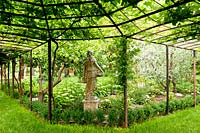 Vue sous pergola couverte de Vitis - Vigne - à statue et parterre de fleurs
