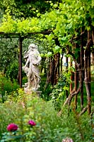 Statue par pergola recouverte de Vitis - Vigne