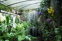 La serre au fond du jardin abrite les nombreuses orchidées et broméliacées que Pierre Berge déplace dans la maison pendant la floraison