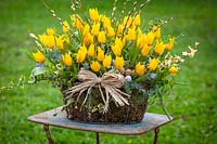 Panier de tulipes jaunes, saule discolore et lierre avec raphia et oeufs