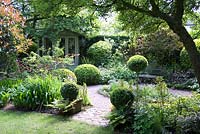 Jardin de la petite ville ombragée avec Buxus - Boîte - topiaire, chemins de gravier, parterres de fleurs mixtes et pavillon d'été