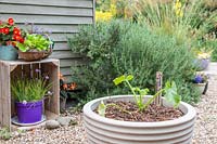 Jardinière à légumes avec une courgette récemment plantée dans un jardin