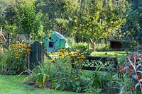 Jardin de campagne informel avec Rudbeckia fulgida var. sullivantii 'Goldsturm', portail en bois, poulailler et banc avec des arbres au-delà