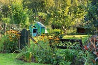 Jardin de campagne informel avec Rudbeckia fulgida var. sullivantii 'Goldsturm', pelouse, portail, banc et poulailler et arbres