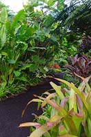Un chemin fait de copeaux d'écorce compressés traversant un jardin tropical, avec des broméliacées, des cordylines et des héliconias.