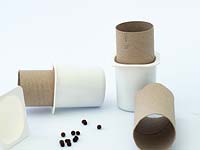 Graines et pots de yaourt recyclés et rouleaux de papier toilette à utiliser comme pots