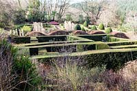 Hedge Gardens au graminées Parterre. Haie en forme de vague de Fagus sylvatica. Miscanthus sinensis 'Malepartus '.