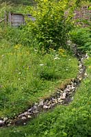 Le ruisseau dans la zone de prairie sauvage, les fleurs sauvages comprennent Daucus carota - Carotte sauvage, Centaurea scabiosa - Centaurée plus grande et Senecio jacobaea - Séneçon