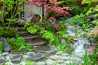 Jardin japonais avec pièce d'eau et marches menant au ruisseau, avec plantation environnante d'acers, d'iris et de mousses. Exposition florale RHS Chelsea.