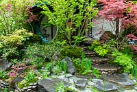 Jardin japonais avec des marches menant à la maison et aux plantations environnantes d'acers, de pins et de mousses. Exposition florale RHS Chelsea.