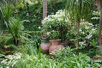 Jardin tropical de palmiers et sous-plantation, y compris Argyranthemum haematomma - Chrysanthème aux yeux de sang près d'un groupe d'urnes vides