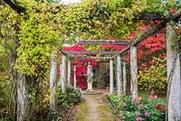 Afficher le long de la pergola de montants en pierre avec des grimpeurs formés et parterres de fleurs en dessous, vers statue sur fond d'Acer plamatum - érable japonais