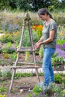 Woman using garden string pour fixer les poteaux horizontaux aux montants d'un obélisque noisette