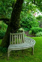 Sièges en bois courbé à la base du vieux pommier - Journée des jardins ouverts, Coddenham, Suffolk