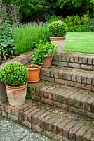 Étapes de brique menant à la pelouse avec des pots plantés à chaque étape - Journée des jardins ouverts, Coddenham, Suffolk