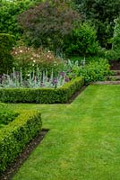 Parterres de fleurs formels contenant des rosiers, Artemisia et Alliums, tous avec bordure de boîte et chemin menant à des marches en bois bordées d'Alchemilla mollis - Journée des jardins ouverts, Coddenham, Suffolk