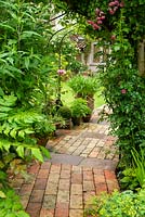 Chemin de brique à travers l'arche menant à la pelouse, avec Rose grimpante, Alchemilla mollis, Mahonia et Buddleia sur les côtés et les plantes en pot au-delà - Journée des jardins ouverts, Double Street, Framlingham, Suffolk