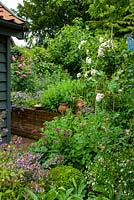Parterre de fleurs surélevé densément planté de plantes vivaces, d'arbustes et de roses - Journée des jardins ouverts, Double Street, Framlingham, Suffolk