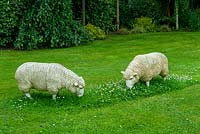 Sculptures de moutons paissant sur pelouse - Journée des jardins ouverts, Kelsale, Suffolk