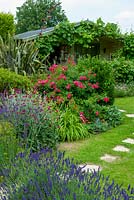 Parterre de fleurs d'été de lavandes, de campions de roses, d'herbes, de rosiers, de phormium et de divers arbustes avec des tremplins menant à une maison d'été couverte de vigne - Journée des jardins ouverts, Kelsale, Suffolk