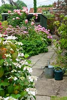 Parterre de fleurs d'hortensias Lacecap et Mophead avec des roses et diverses autres plantes - Journée des jardins ouverts, Kelsale, Suffolk