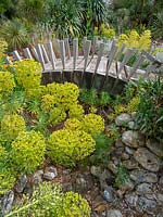 Pont en bois sur des rochers dans un jardin sec avec Euphorbia