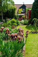 Parterre de bardeaux avec iris, herbes et arbustes et kiosque téléphonique GPO recyclé au-delà - Journée des jardins ouverts, Palgrave, Suffolk