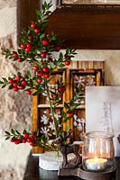 Cheminée de fête avec arbre de Ruscus aesculatus, bougie et cartes de Noël - décembre