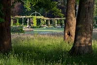 Un aperçu de la pergola Harold Peto à travers les troncs d'arbres de West Dean Gardens. Cette pergola édouardienne mesure 100 mètres de long. Herbes longues et fleurs sauvages, les marguerites à œil de boeuf entourent les arbres et se fondent dans la pelouse tondue.