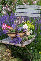Un bouquet de fleurs coupées et de bouquets de lavande repose sur une vieille chaise à lattes placée à côté d'une haie de Lavandula angustifolia 'Hidcote'