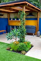 Patio et salle extérieure avec barbecue couvert, parterre central autour du support de pergola comprend la plantation de Trachelospermum jasminoides, Edgeworthia chrysantha 'Grandiflora'
