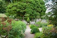 Chemin formel à travers Herb Garden avec dômes coupés, Salvia sclarea, Tanacetum parthenium et Angelica. Parc Loseley, Surrey