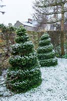 Jardin de ville clos avec neige, paire de Buxus - Coffret - spirales topiaires