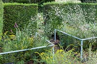 Hedges of Taxus baccata retentissant jardin formel avec balustrades en acier doux autour des parterres de fleurs avec Althea cannabina et Solidago rugosa 'Fireworks'