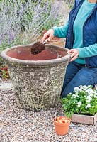 Femme ajoutant une couche de compost pour couvrir les bulbes
