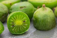 Baies de kiwi - Actinidia arguta - nature morte