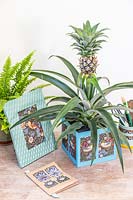 Cache-pot en carton décoré de papier d'emballage et planté d'Ananas nanus - Ananas sur bureau avec d'autres objets artisanaux