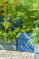 Jardin de ville pavé avec de grands pots colorés pour une large gamme de plantes, y compris Cercidiphyllum japonicum, bouleaux, érables japonais, bambous et fougères.