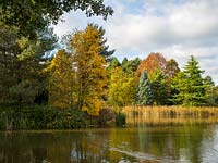 À la recherche de l'autre côté du lac à Bodenham Arboretum avec beaucoup de couleurs d'automne et un ciel bleu.