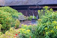 Plantation massive d'euphorbes dans le jardin de la grange autour d'un patio en brique avec sculpture moderne et siège