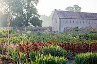 Une aube brumeuse au début de l'été dans le potager clos avec une rangée d'orach rouge - Atriplex hortensis