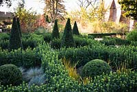 Jardin de noeuds d'Euonymus 'Green Spire', contenant des Taxus coupés - If - pyramides et dômes, herbes et Libertia peregrinans
