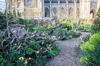 Le jardin de Stumpery au printemps, avec des bûches et des hellébores sculpturales décoratives, Euphorbia, Primula, Muscari et tulipes. Château d'Arundel, West Sussex, Royaume-Uni.
