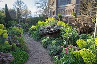 Chemin à travers la plantation printanière colorée dans le Stumpery Garden, avec Helleborus foetidus, Euphorbia, tulipes, fritillaries et Pulmonaria. Château d'Arundel, West Sussex, Royaume-Uni.