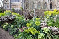La plantation de printemps colorés dans le Stumpery Garden, le château d'Arundel, West Sussex, UK.