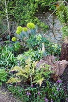 Souche d'arbre sculpturale avec parterre de fleurs printanières, avec Euphorbia, hellébores, fritillaires à tête de serpent et fougères. Le Stumpery Garden, le château d'Arundel, West Sussex, UK.